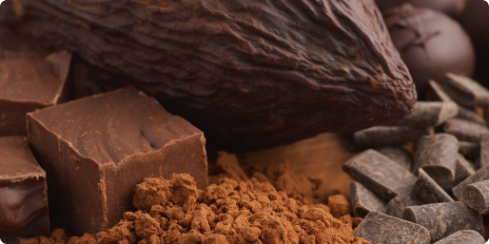Cocoa products list - browse cocoa powder, butter, liquor and wholesale solutions