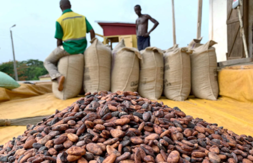 Cocoa prices fluctuate as supply concerns persist