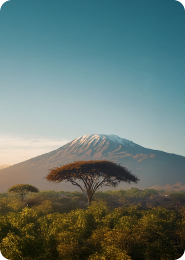 Huanda Cocoa production capacity and global market data visualization - cocoa powder supplier statistics