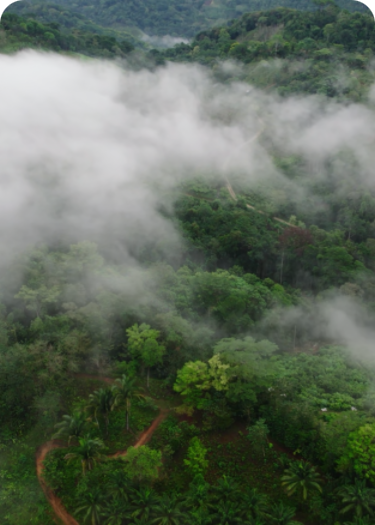 Huanda Cocoa brand philosophy slogan - original aspirations from cocoa origins, sincere cooperation through premium quality and service