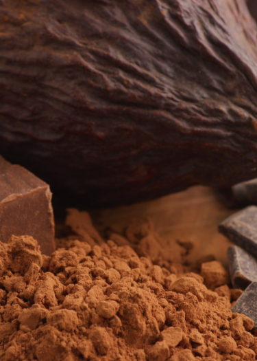 Huanda Cocoa core products: cocoa powder, cocoa butter & cocoa liquor